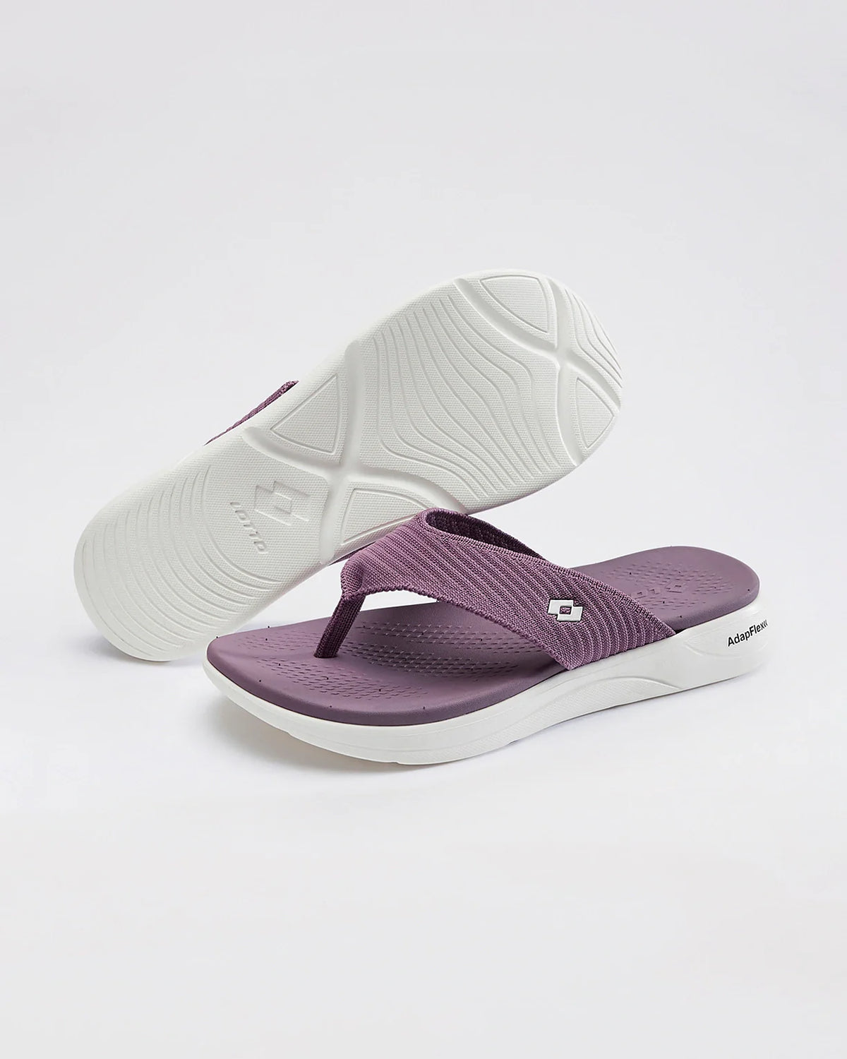 Evernote Plus - Grape Shake-Star White
